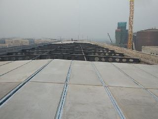 �ֹǼ�ǽ��-10