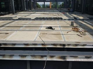 �ֹǼ�ǽ��-12